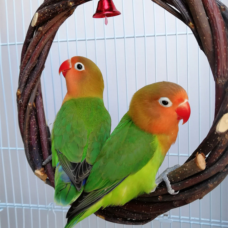 Cage liners & cleaning supplies